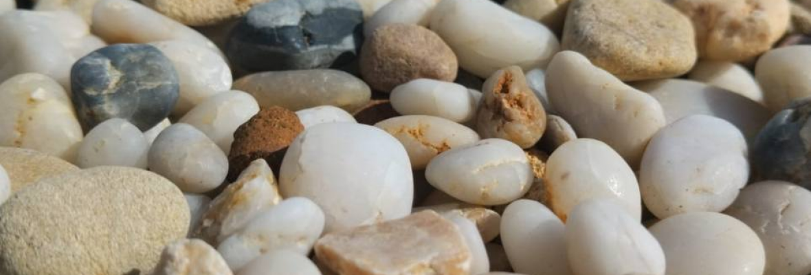 изображение_2025-06-24_204728138