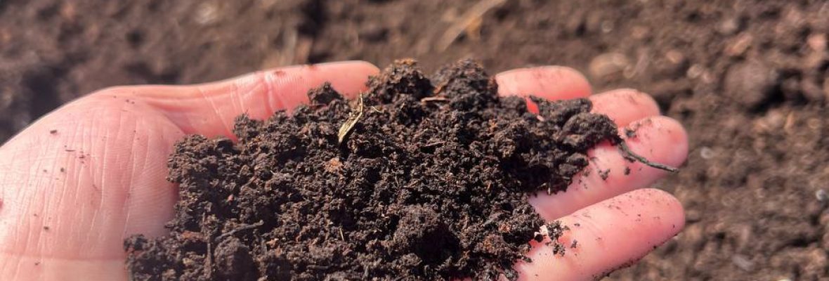 photo_2025-06-17_15-33-17